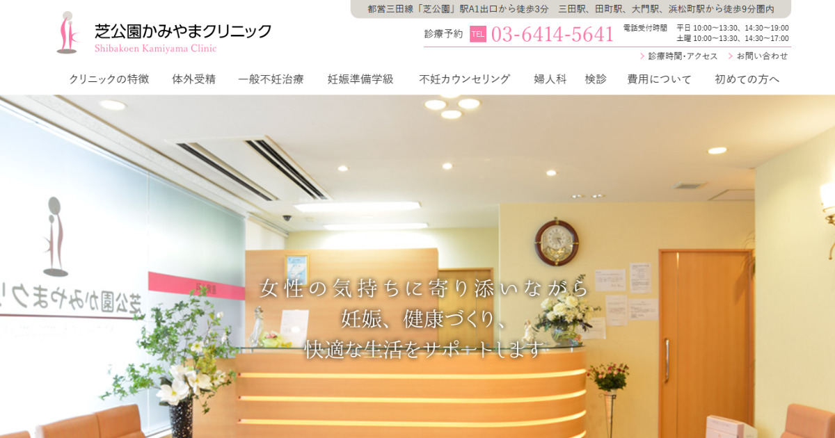 芝公園かみやまクリニック　ピル処方　おすすめ　安い　産婦人科
